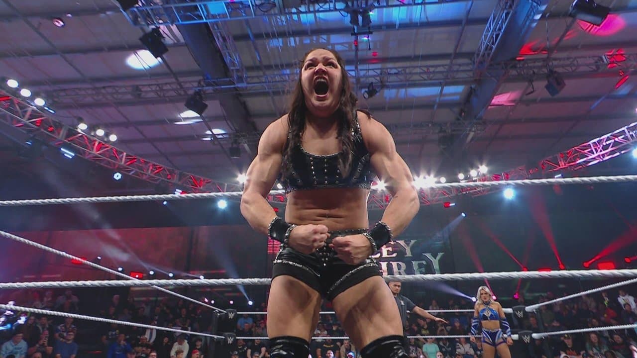 WWE LFG backdrop
